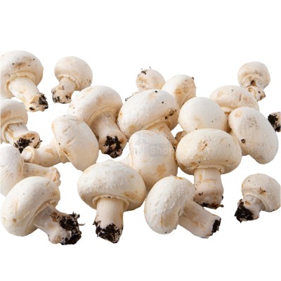 Шампиньоны свежие 500 г - купить в Верхней Корса